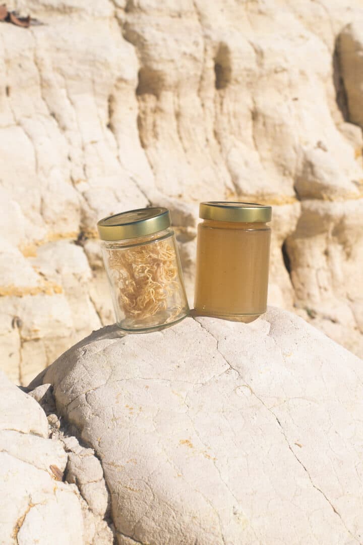 VivaBoom sending background