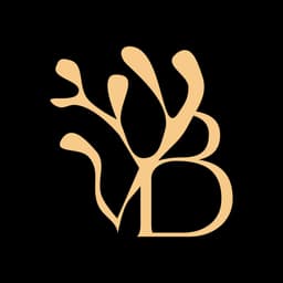 VivaBoom Team